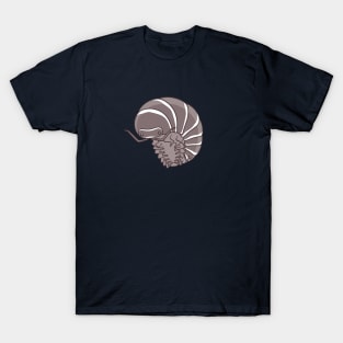 Zebra Isopod Or Zebra Pillbug - Armadillidium Maculatum T-Shirt